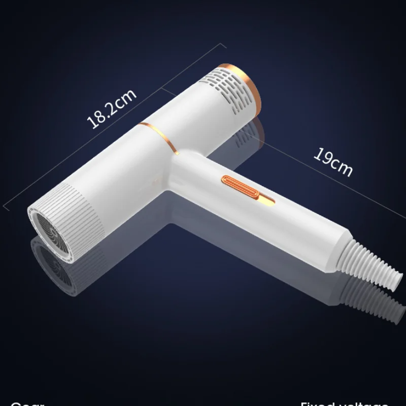 Professional High-Power Hair Dryer