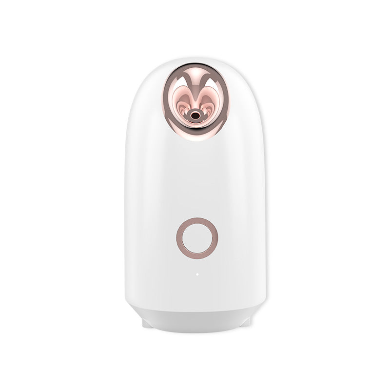 Face Steamer