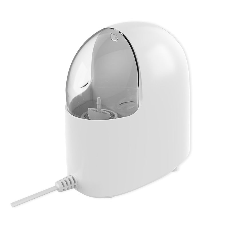 Face Steamer