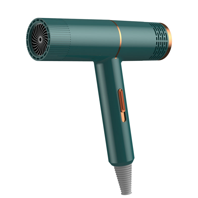 Professional High-Power Hair Dryer
