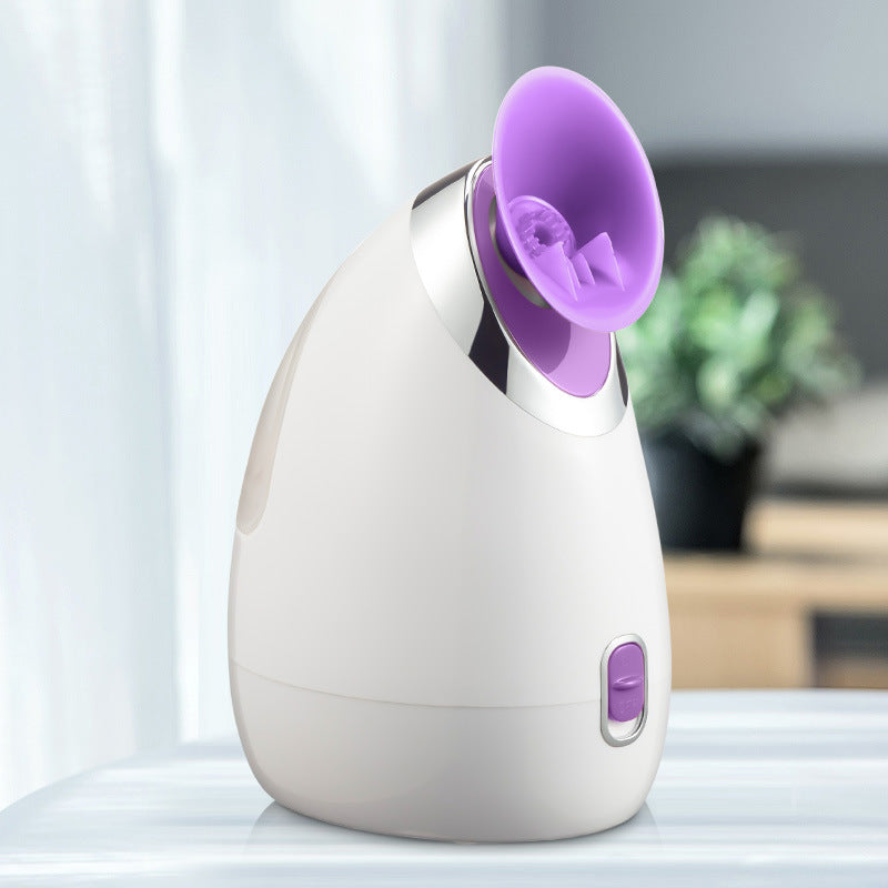 Facial Steamer