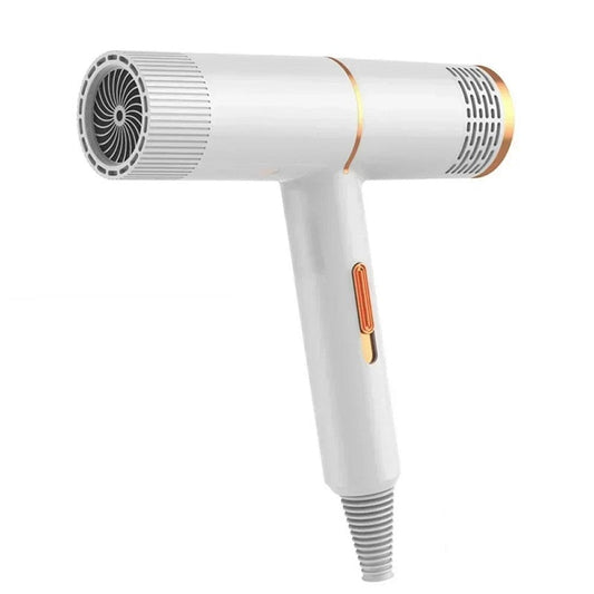 Professional High-Power Hair Dryer