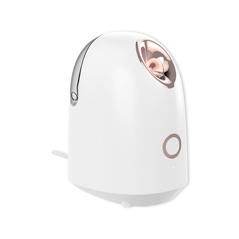Face Steamer