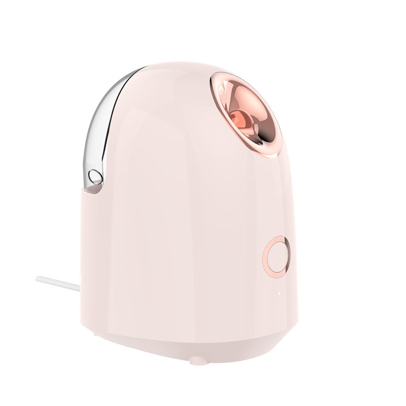Face Steamer